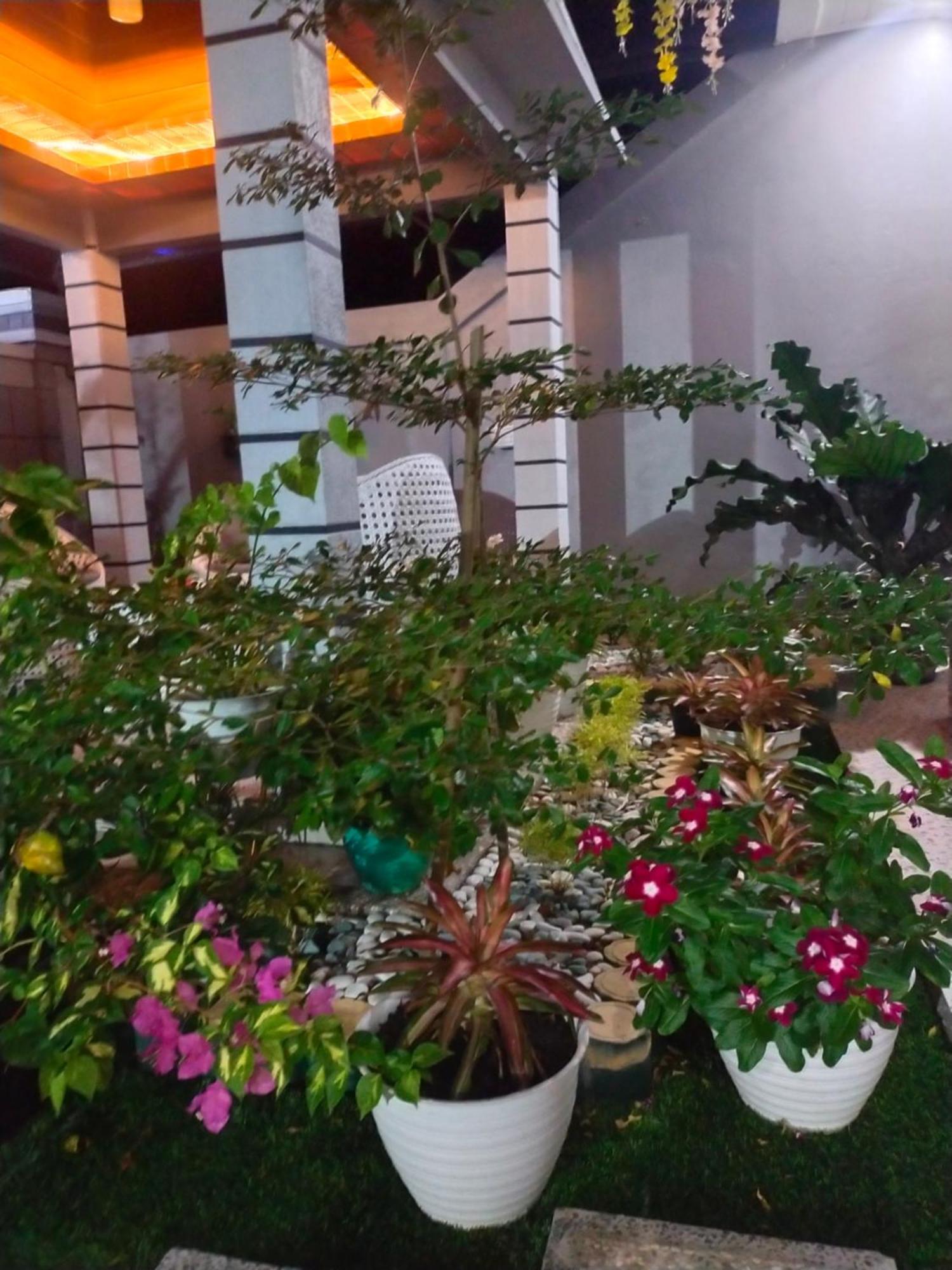 La Geiro Villa Labuan Bajo Eksteriør bilde